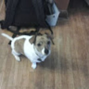 Meet your Posher, Eli